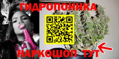 дживик Берёзовский