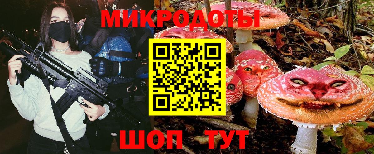 Псилоцибиновые грибы GOLDEN TEACHER Каспийск