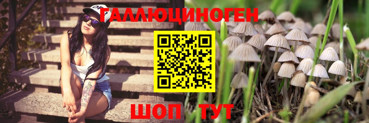 Каспийск  Псилоцибиновые грибы прущие грибы  Вход с VPN  Галлюциногенные грибы мухоморы 